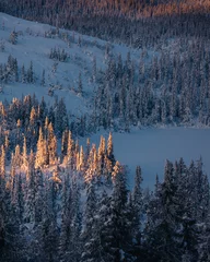 Foto auf Acrylglas Wald im Nebel Mountains landscape in Norway