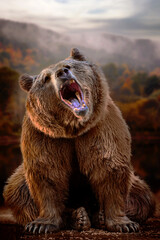 Big pissed off grizzly bear