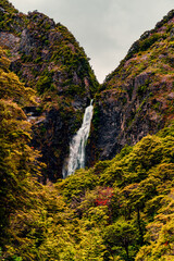 Vertical Shot of Devil's Punchbowl Falls in New Zealand