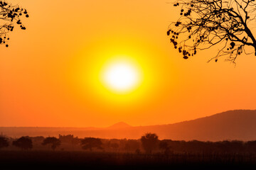 Fototapeta na wymiar Beautiful african sunset over savannah in Tanzania
