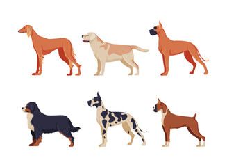 Side view of dogs of different breeds set. Purebred pet animals cartoon vector illustration