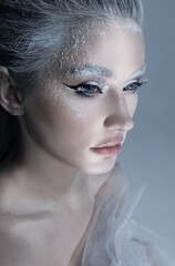 close up portrait of a beautiful snow queen, fantasy winter make up