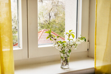 White spring flowers in a vase on windowsill. Spring time concept