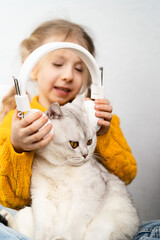 a white purebred Scottish cat wearing headphones in a little girl's arms. The concept of musical pets, love for animals