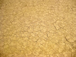 Textured Ground, Mud Cracks at Racetrack Playa, Death Valley