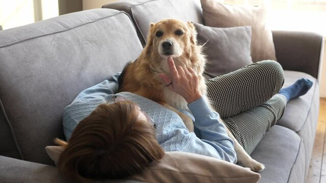 A woman hugs her cute red dog view from the back. The concept of lonely old age and friendship with animals.
