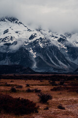 Vertical Shot of Brown Grass Valley, Surrounded by Snow Covered Mountains in New Zealand