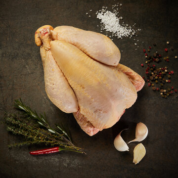 Viande de poulet et volaille