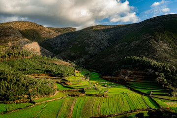 rice terraces island