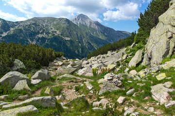 Pirin Mountain around Banderitsa River, Bulgaria