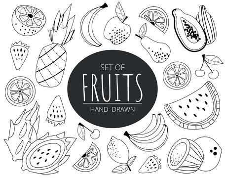 Set of line fruits. Poster or banner for website. Collection of minimalist products, exotic and tropic. Pineapple, banana and watermelon. Cartoon flat vector illustrations isolated on white background