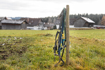 Two bridles for a horse hang on a wooden pole in a field in autumn