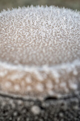 Icing on plastic plugs in detail.