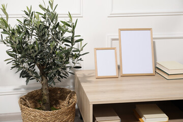 Beautiful young potted olive tree near table in living room. Interior element