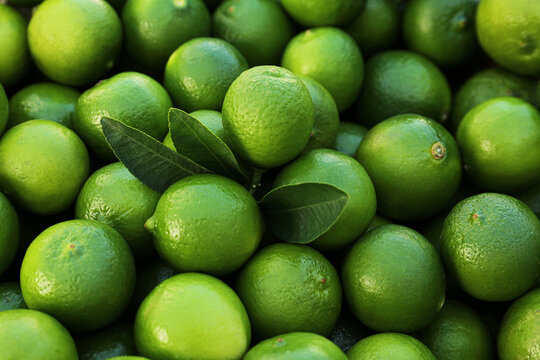 Fresh ripe green limes with leaves as background, closeup