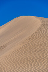 Fototapeta na wymiar A sand dune against a blue sky