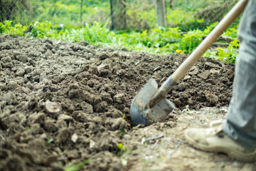 Shovel in ground. Garden tools. Digging ground.