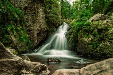 Foto op Plexiglas Beautiful landscape with a waterfall in the forest, long exposure photography © Loic C.
