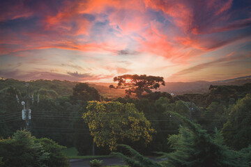 Sunset over the Araucaria Forest in Faxinal do Céu, Pinhão, Paraná, Brazil: 2023