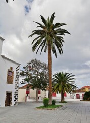 Fototapeta na wymiar Palmen und Haus in San Andrès auf La Palma