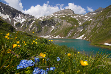 alpine meadow in the mountains with lake view, blue lake in the mountains with green meadow and snow - obrazy, fototapety, plakaty