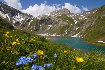 Fotobehang alpine meadow in the mountains with lake view, blue lake in the mountains with green meadow and snow © Gerald Sturm