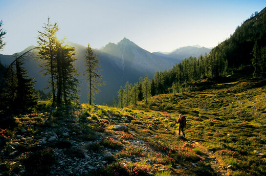 A backpacker hikes over Easy Pass on a sunny morning in North Cascades National Park, Washington.