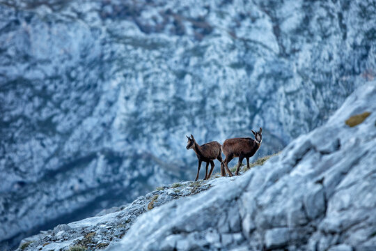 Picos de Europa National Park
