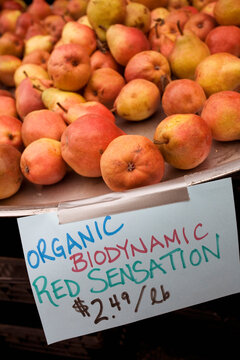 Certified organic red sensation apples for sale at the Trout Lake Farmer's Market in Vancouver, British Columbia, Canada.