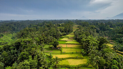 Fototapeta na wymiar Aerial Birds Eye View Drone Capture of Famous Rice Terrace in Bali, Indonesia, Volcanos In Distance