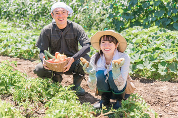 Fototapeta 畑で野菜を収穫する農家・生産者の女性・男性・夫婦（アジア人・日本人・中国人）
 obraz