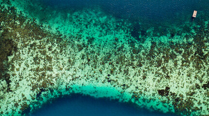 Shallow Coral Reef In The Ocean In Palawan, Philippines