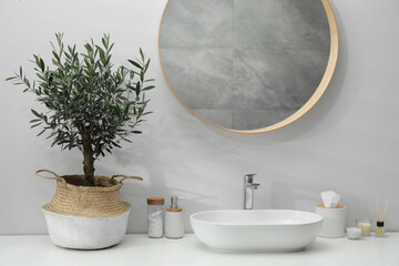 Beautiful young potted olive tree and toiletries near sink on bathroom counter. Interior design