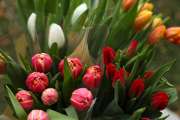 Beautiful bouquets of colorful tulips outdoors, closeup