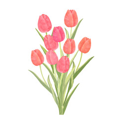赤色のチューリップの花束 水彩風