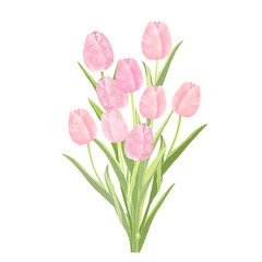 ピンクのチューリップの花束 水彩風