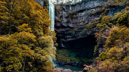 Aerial Drone View of Belmore Falls Behind Trees in Budderoo National Park, Australia