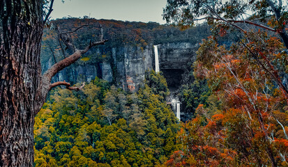 Aerial Drone View of Belmore Falls with Tree in Foreground in Budderoo National Park, Australia