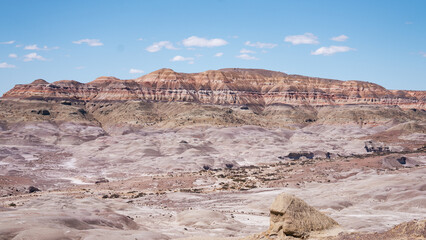 Bosque petrificado patagonia 5