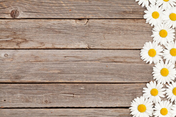 Obraz premium Chamomile garden flowers on wooden background