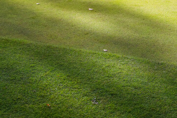 Grass texture. The grass on the golf course is green, shadows on the surface of the course. Close-up. High quality photo