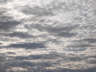 東京のそら(23.1.18)