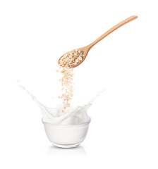 Pouring oat flakes from wooden spoon to milk splash in glass bowl isolated on white background.