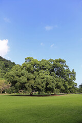 晩夏の栗林公園