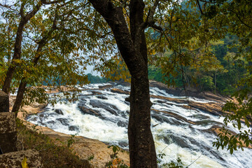 Fototapeta na wymiar Vazhachal waterfalls