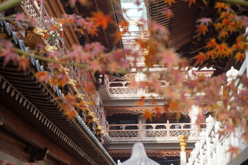 Autumn in Jing An Temple Shanghai