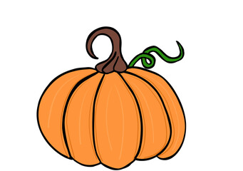 pumpkin on a white