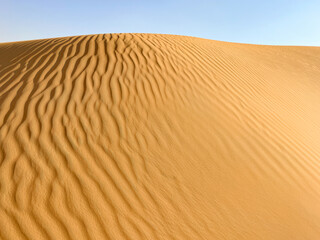 golden Sand Dune pattern in Desert