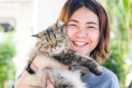 Close up of young Asian woman playing with her persian cat, human-animal relationships.