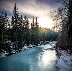 Winter frozen river and forest landscape from Fish Creek Provincial park in Calgary Alberta Canada - obrazy, fototapety, plakaty